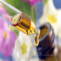 Aroma Diffusor Teebaum Gesicht Körper ätherisches Öl